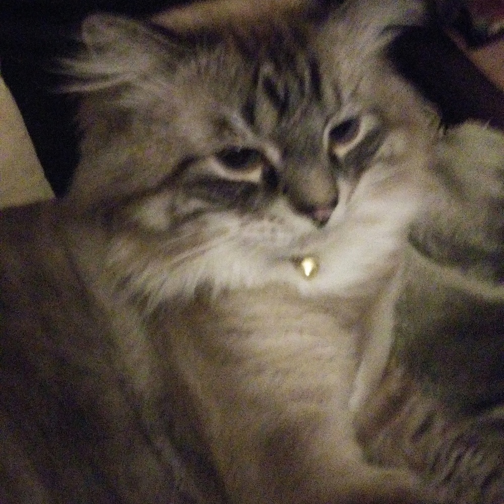 Meet your Posher, Gail